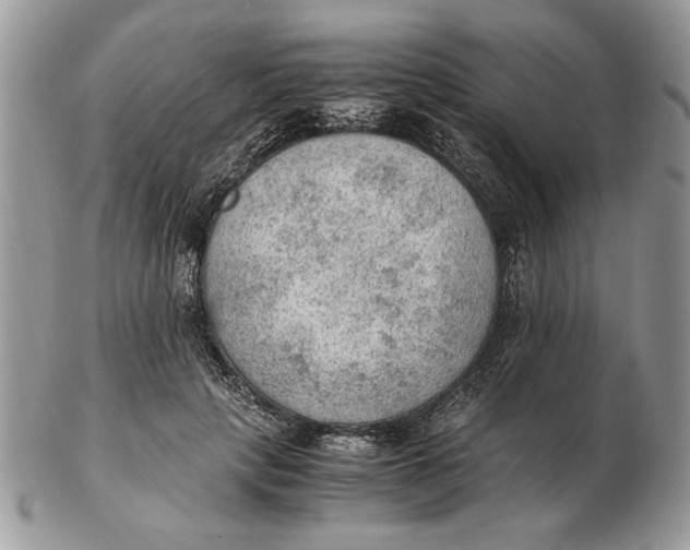 X0000102390649200808221826