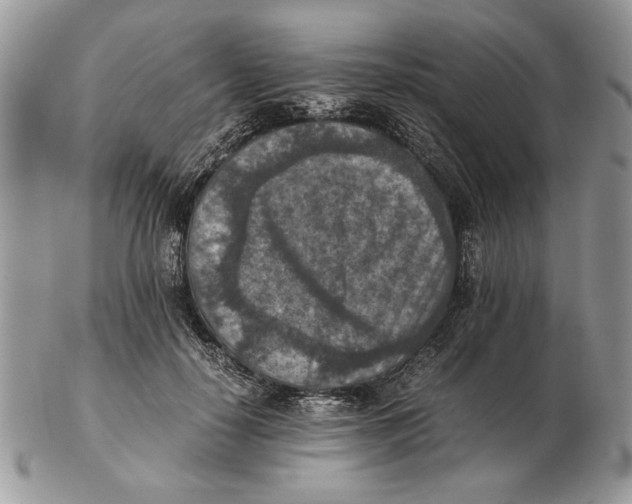 X0000102390650200808221826