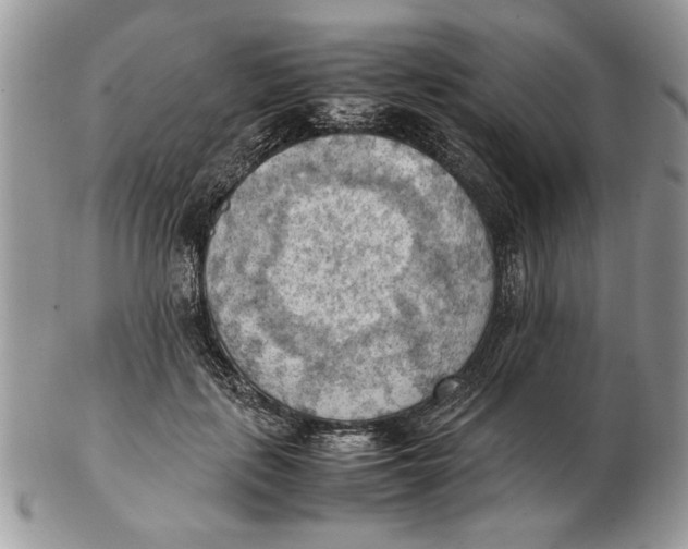 X0000102390651200808221826