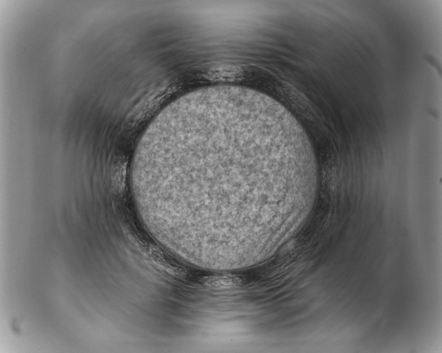 X0000102390652200808221826