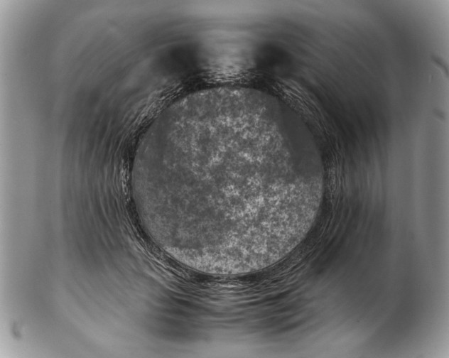 X0000102390653200808221826