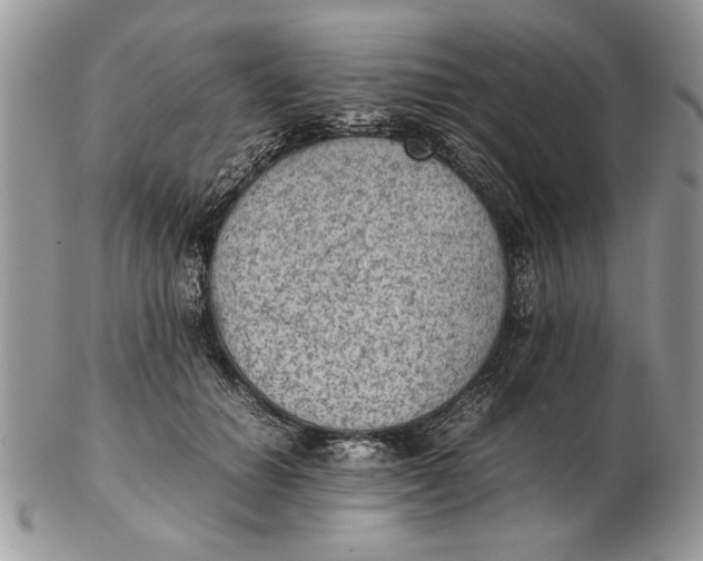 X0000102390654200808221826