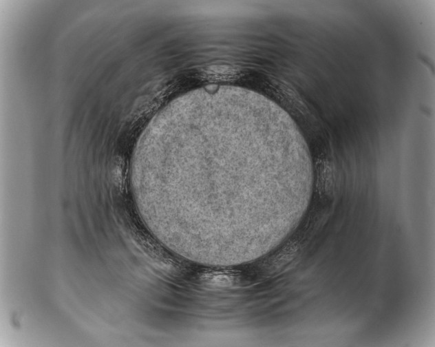 X0000102390655200808221826