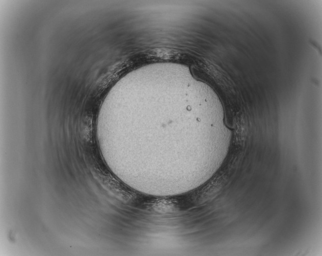 X0000102390656200808221826