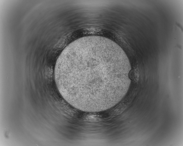 X0000102390657200808221826