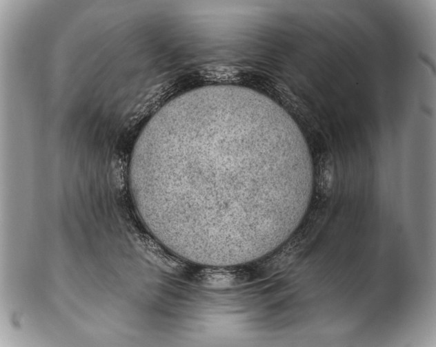 X0000102390658200808221826