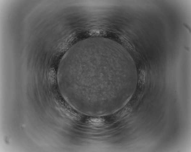 X0000102390659200808221826