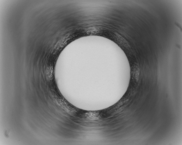 X0000102390660200808221826