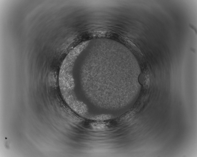 X0000102390661200808221826