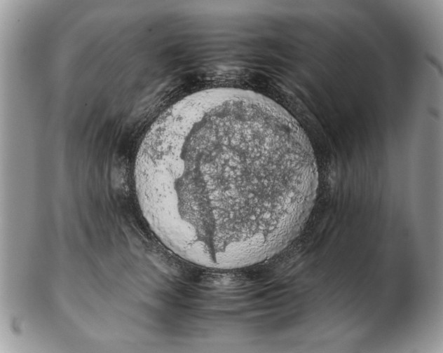 X0000102390663200808221826