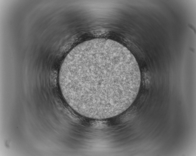 X0000102390664200808221826