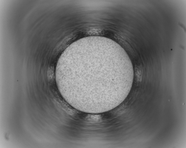 X0000102390665200808221826