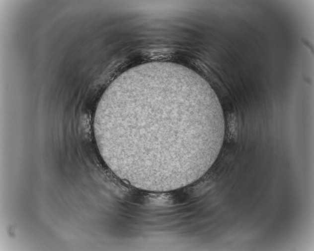 X0000102390667200808221826