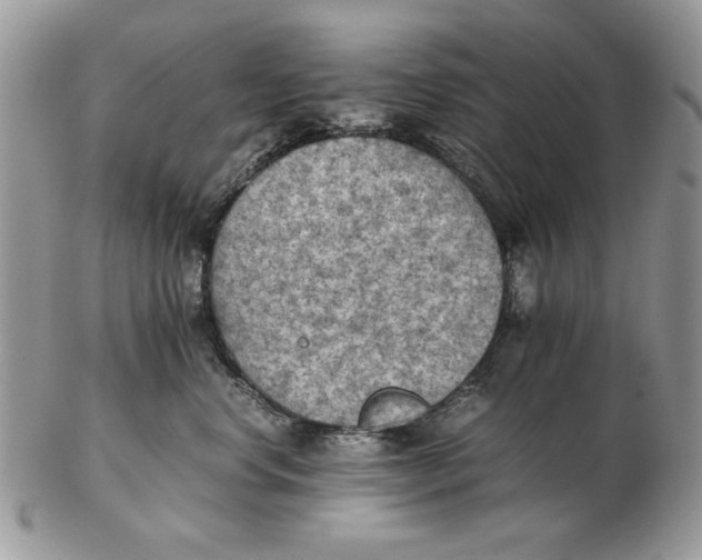 X0000102390668200808221826