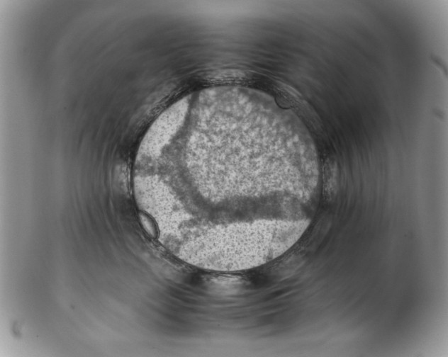 X0000102390669200808221826