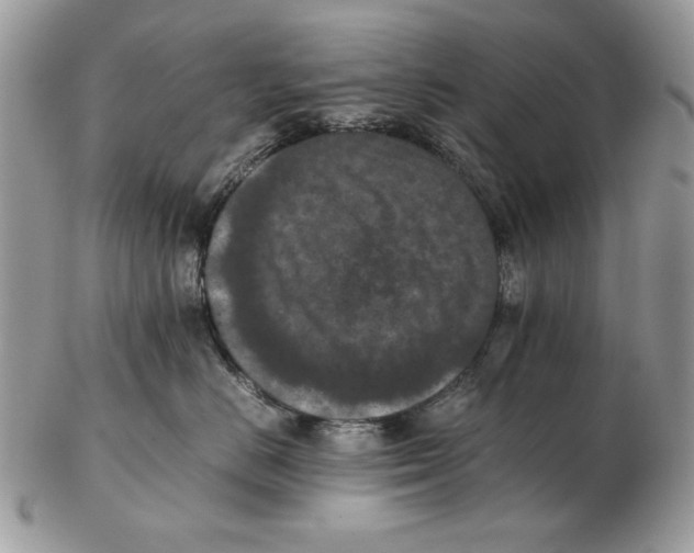 X0000102390670200808221826