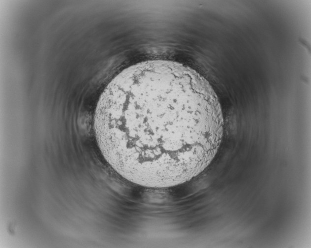 X0000102390671200808221826