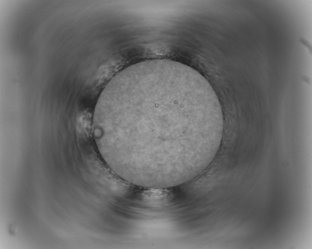 X0000102390672200808221826