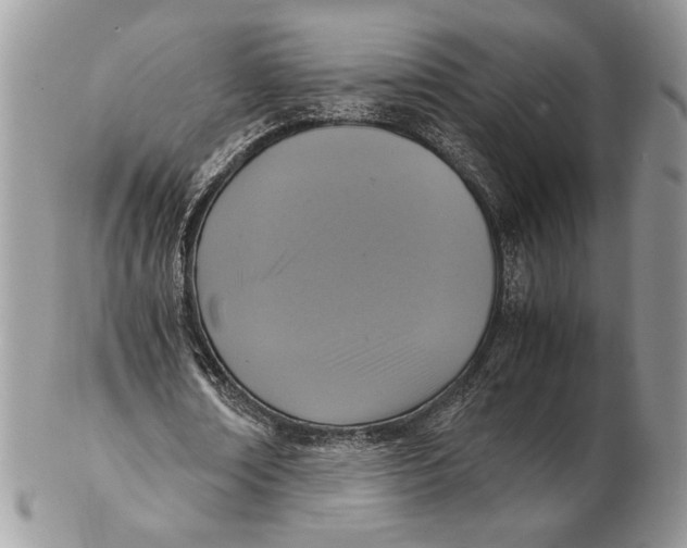 X0000102390674200808221825