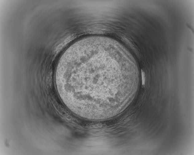 X0000102390675200808221825