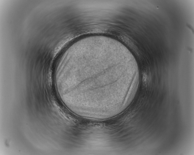 X0000102390676200808221825