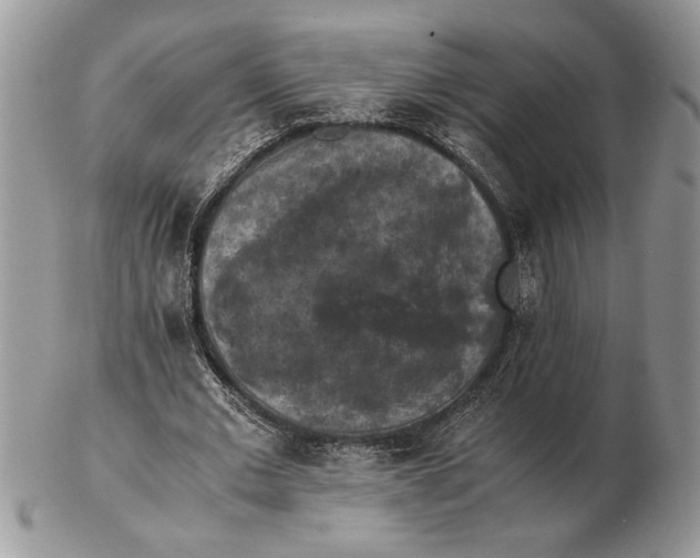 X0000102390677200808221825