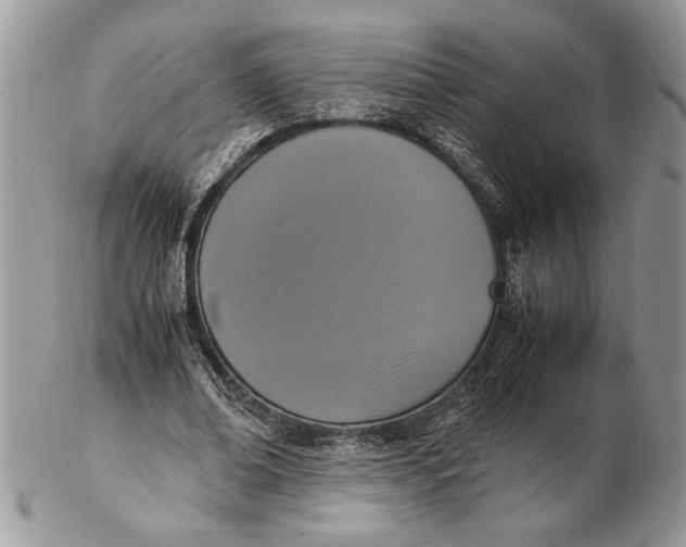 X0000102390678200808221825