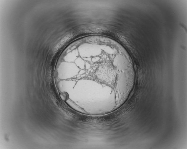 X0000102390679200808221825