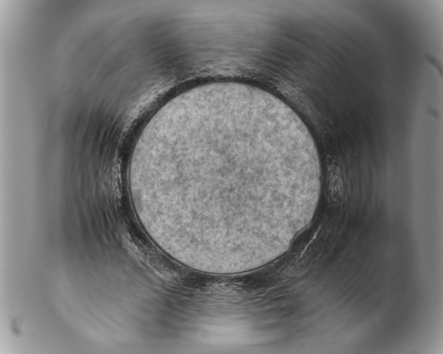 X0000102390680200808221825