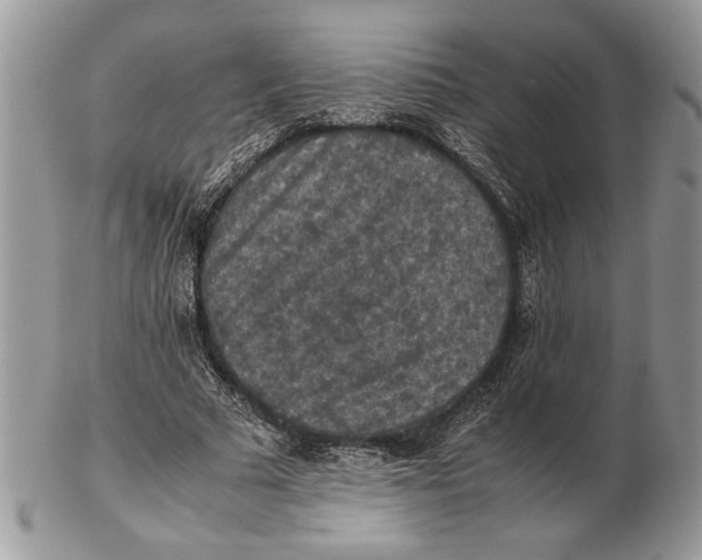 X0000102390681200808221825