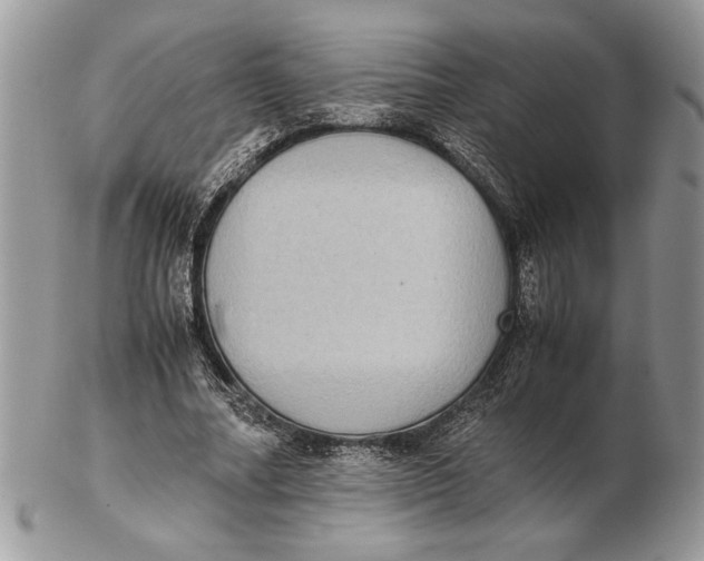 X0000102390682200808221825