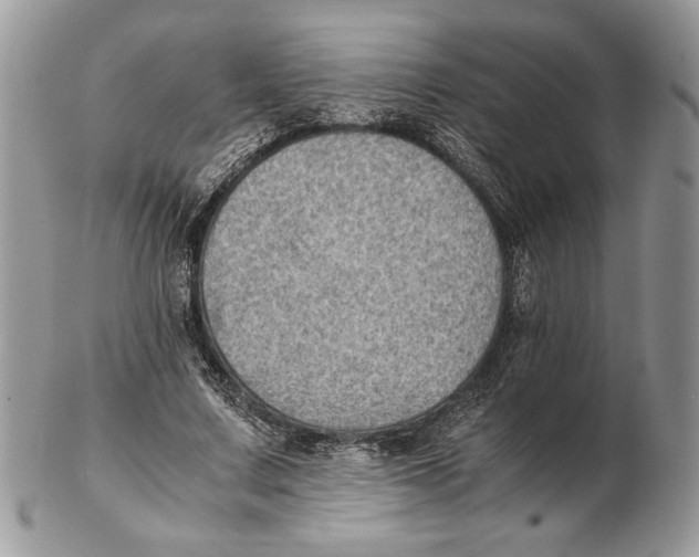 X0000102390683200808221825