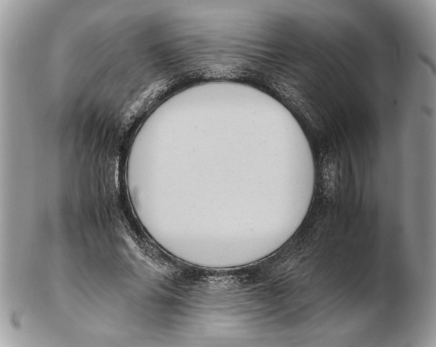 X0000102390686200808221825