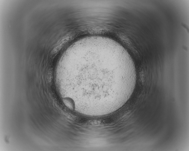 X0000102390687200808221825