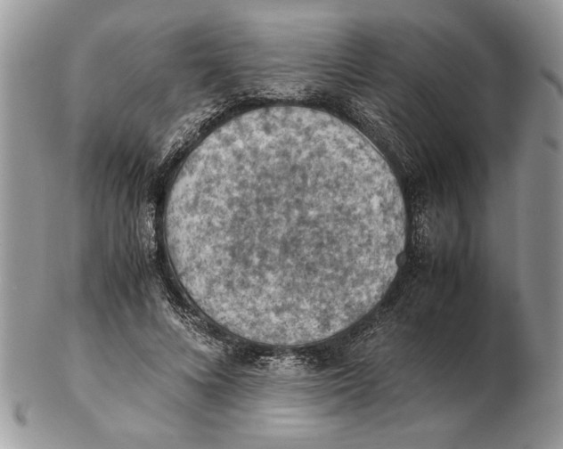 X0000102390688200808221825