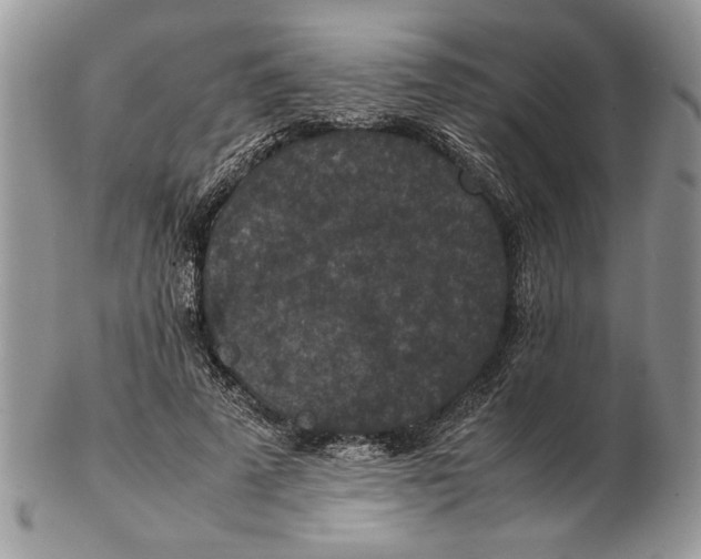 X0000102390689200808221825