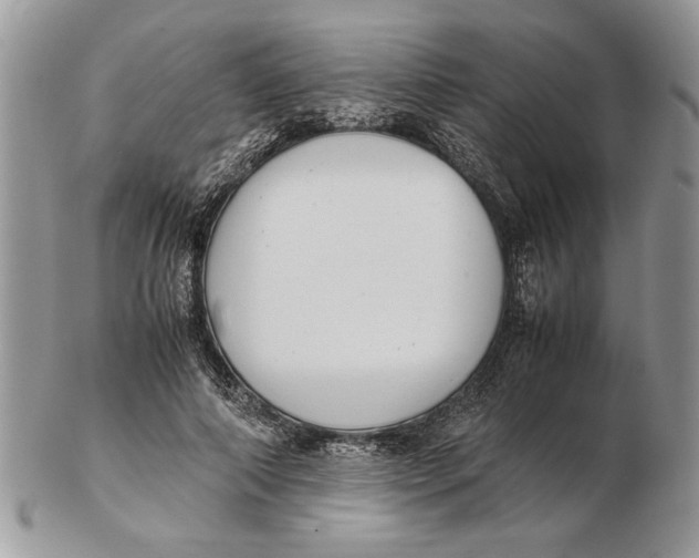 X0000102390690200808221825