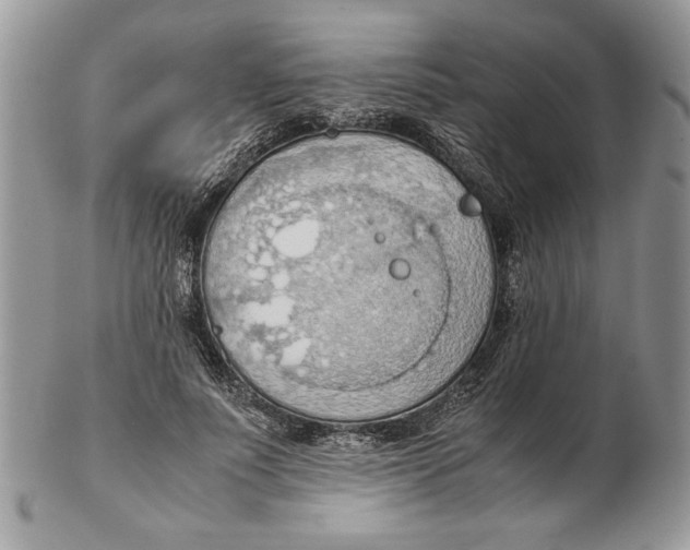 X0000102390691200808221825