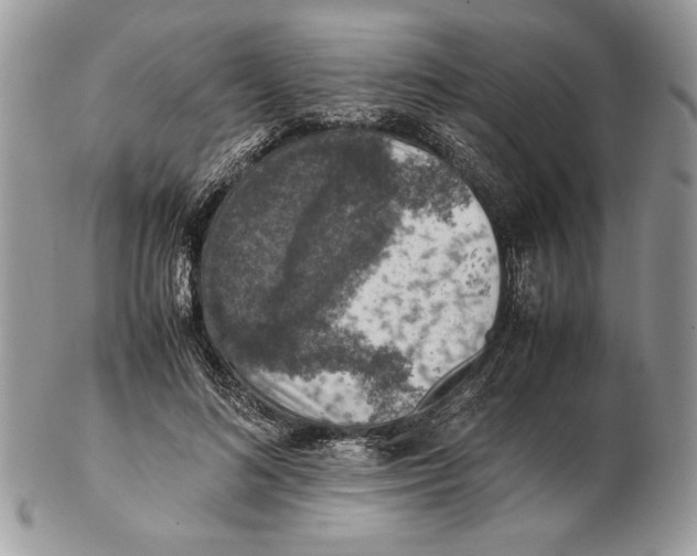 X0000102390692200808221825