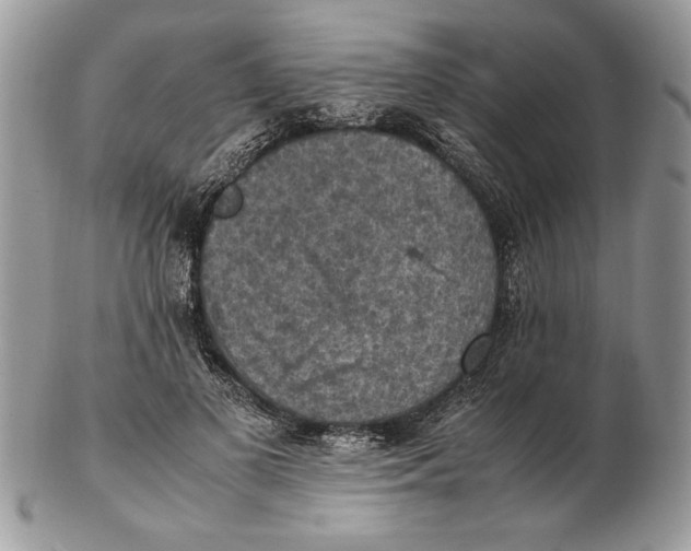 X0000102390693200808221825