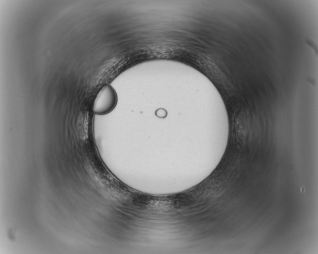 X0000102390694200808221825