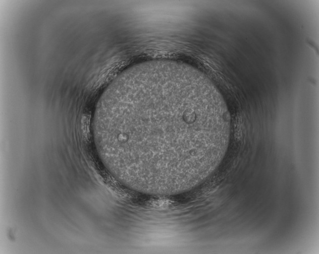 X0000102390695200808221825