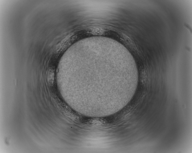 X0000102390697200808221825