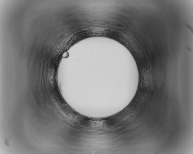 X0000102390698200808221825