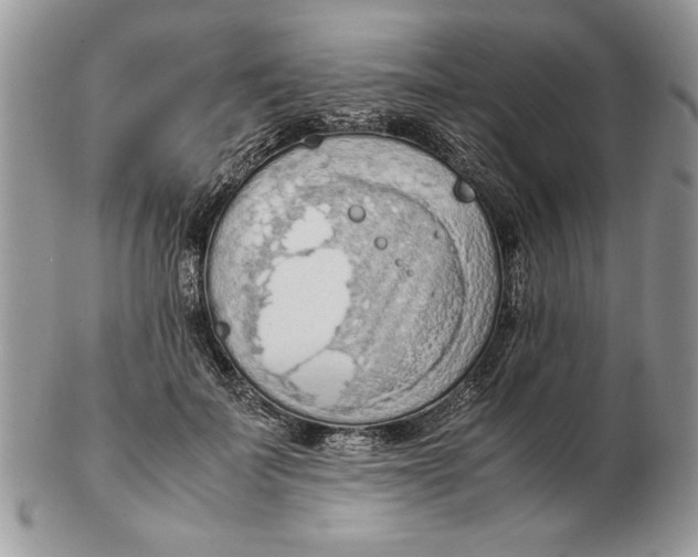 X0000102390699200808221825