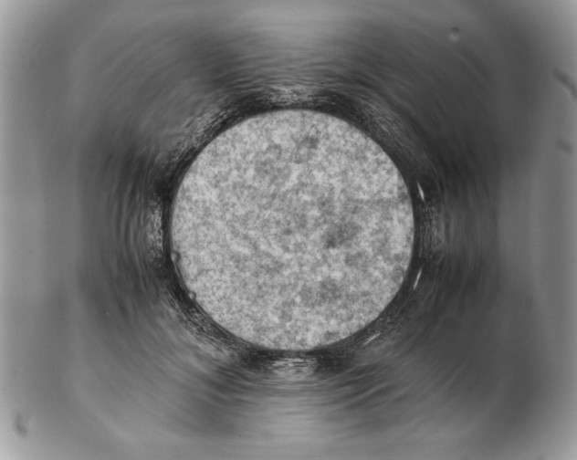 X0000102390700200808221825