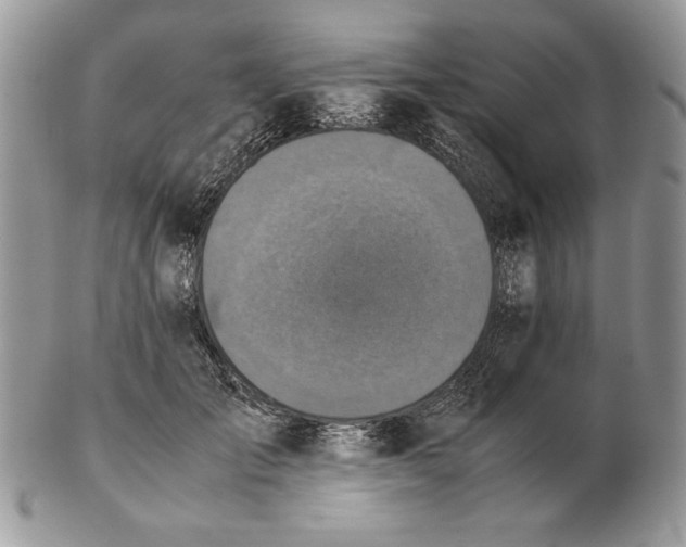 X0000102390701200808221825