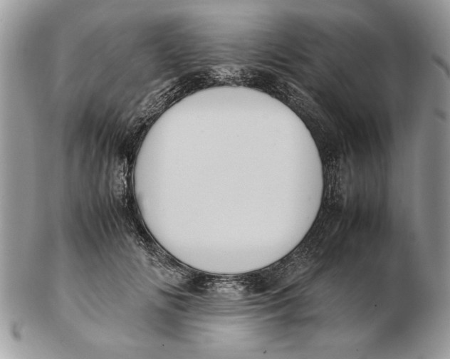 X0000102390702200808221825