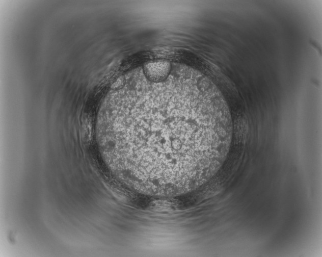 X0000102390703200808221825