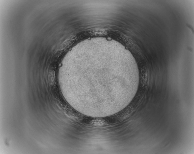 X0000102390704200808221825